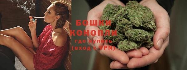 сатива Богородицк