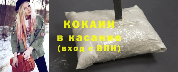 сатива Богородицк