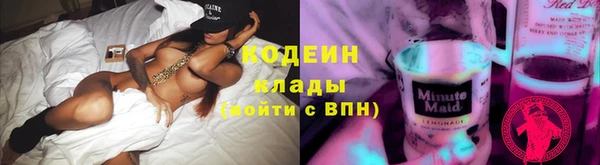 молекула духа Бородино