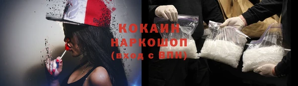СК Бронницы