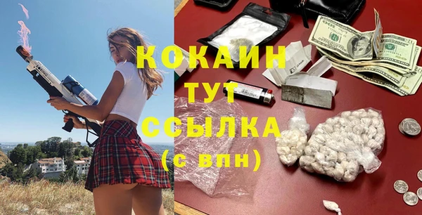 сатива Богородицк