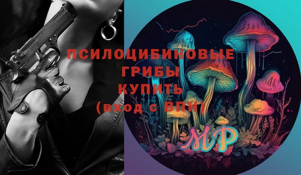 бошки Богданович