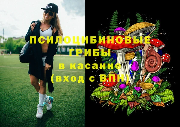 сатива Богородицк