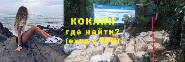 сатива Богородицк
