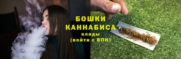бошки Богданович